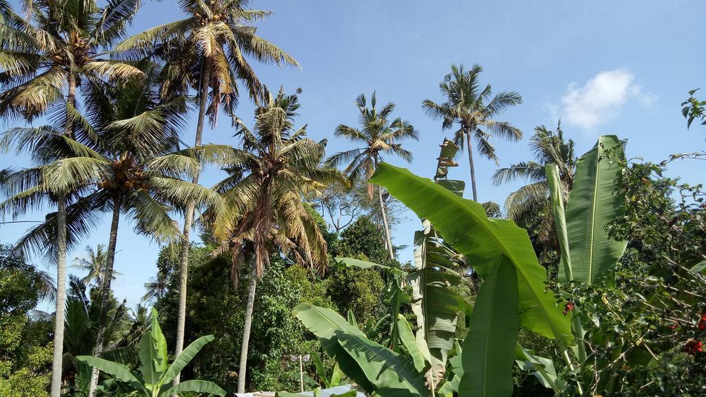 Uma Loris Ubud Экстерьер фото